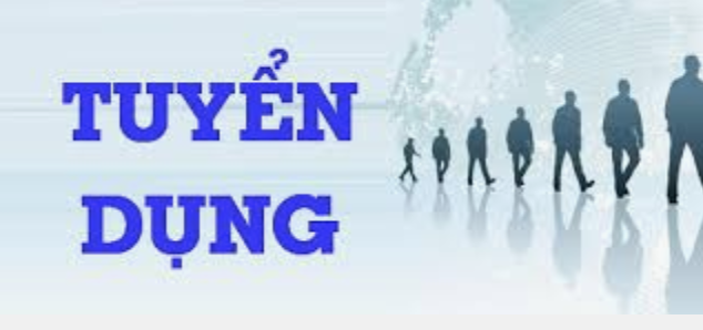 lĩnh vực hoạt động